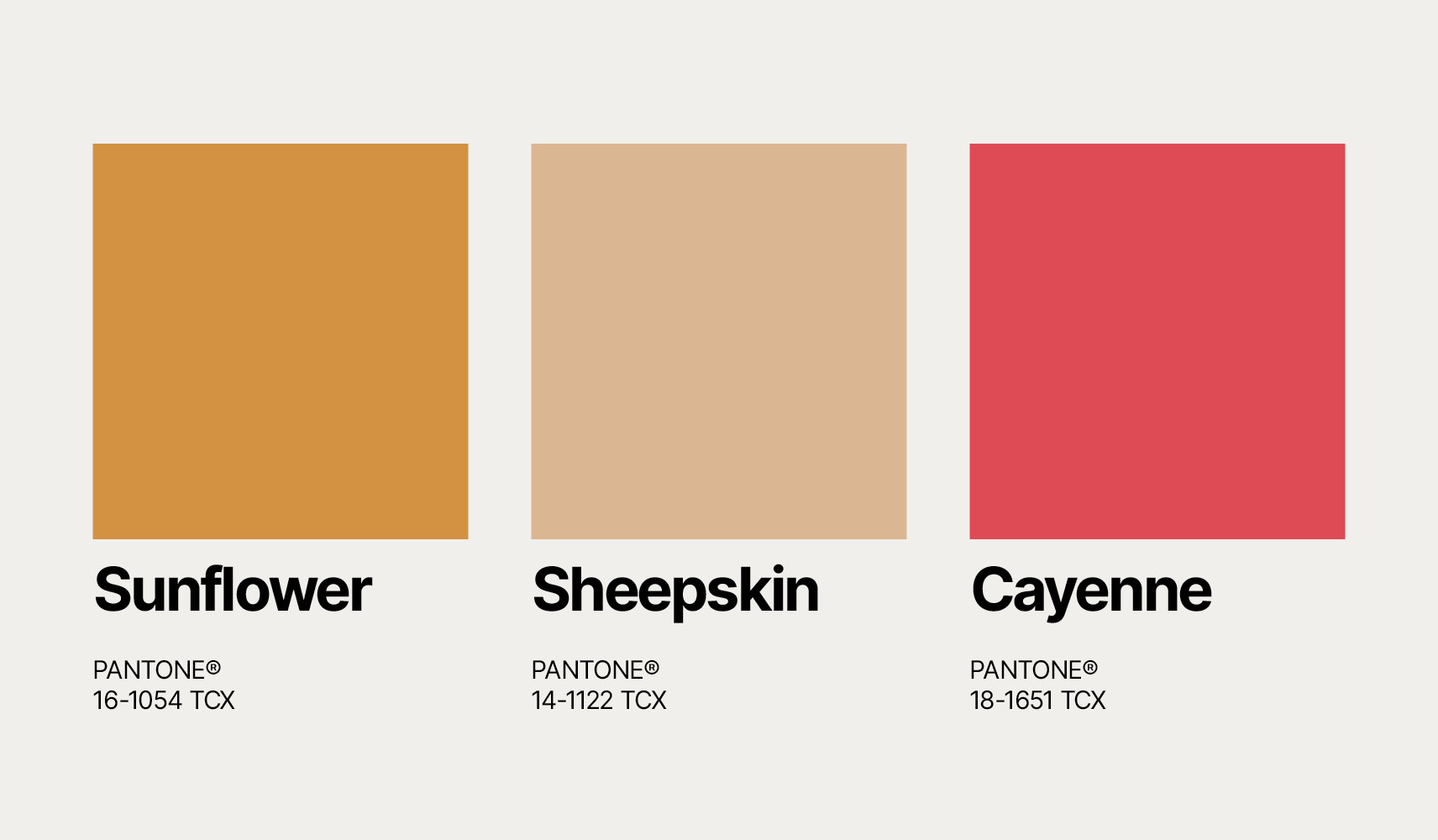 Pantone's Color Trend Forecast for Autumn/Winter 2022/2023