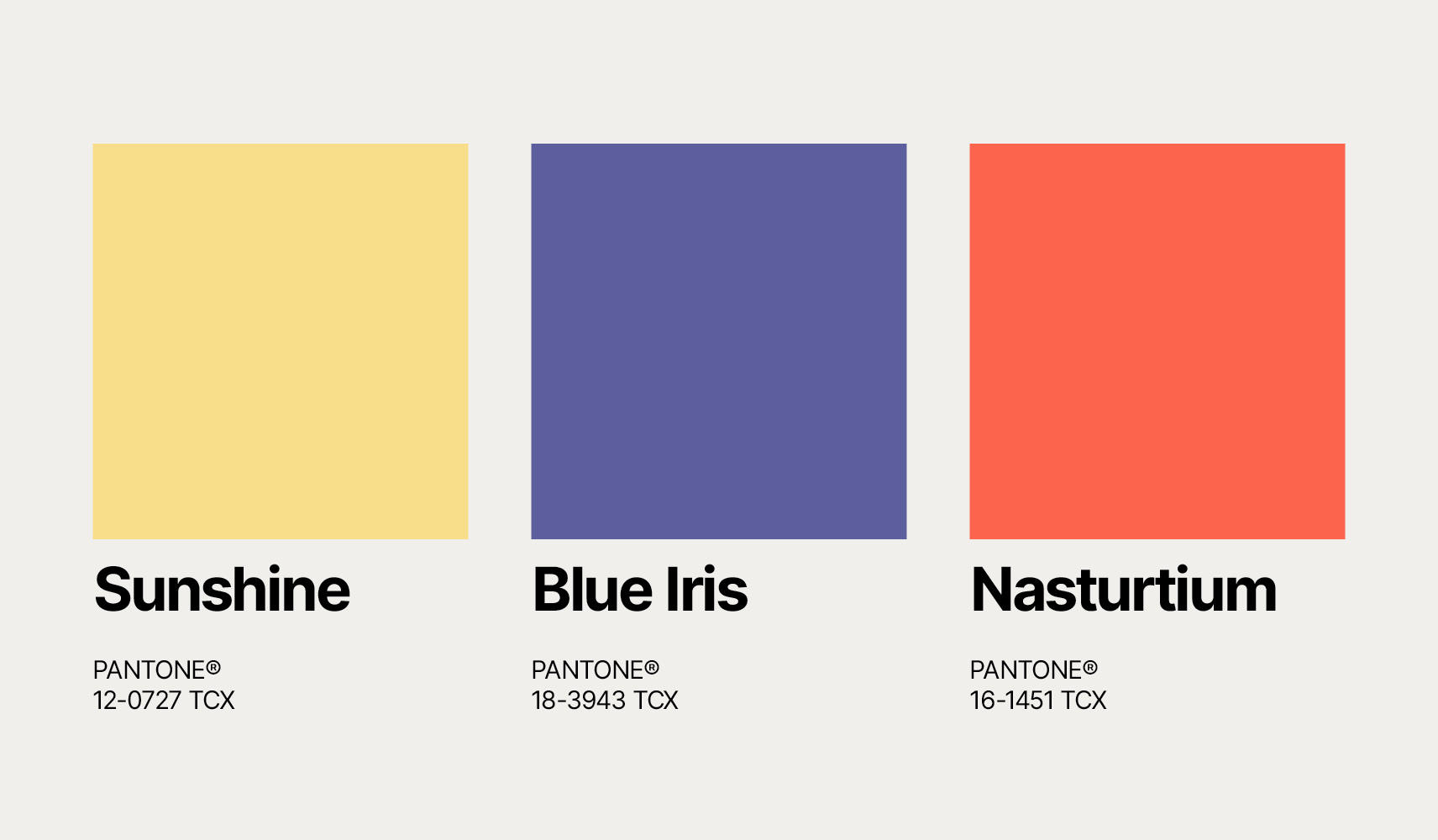 Child Color Palette